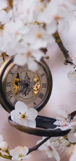 A vintage pocket watch surrounded by white blossoms on a tree branch.