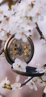 Vintage pocket watch amidst white blossoms on a branch.