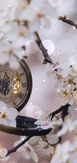 Vintage pocket watch with cherry blossoms mobile wallpaper.