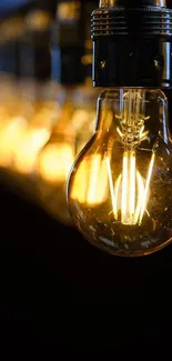 Close-up of a glowing vintage Edison bulb against a dark background.