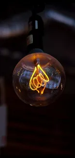 Vintage Edison bulb with glowing filament on dark background.