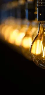 Warm glowing vintage filament bulbs in a captivating, golden light setting.