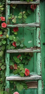 Rustic wooden door with red flowers and green leaves on a ladder.