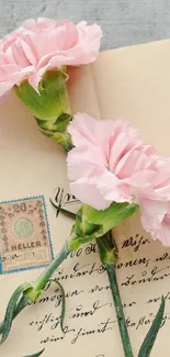 Vintage pink carnations on handwritten letters.