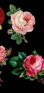 Vintage roses on a black wallpaper.