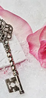 Vintage silver key with pink rose on snowy surface.