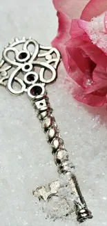 Vintage silver key with pink rose on snow.