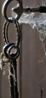 Vintage key with cobwebs on a wooden door.