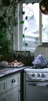 Vintage kitchen with plants and antique decor in soft gray tones.