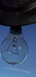 Vintage light bulb hanging against a dusk sky background.