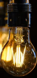 Vintage light bulb with glowing filament on dark background.