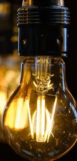 Vintage light bulb with warm glow on dark background.