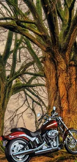 Vintage motorcycle parked under ancient bare trees.