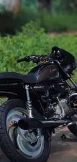 Black vintage motorcycle with natural green backdrop.