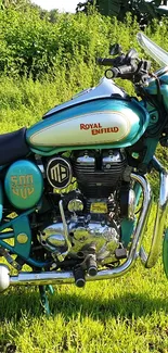 Royal Enfield motorcycle on lush green grass with chrome accents.