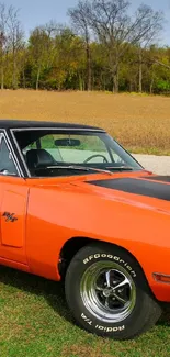 Orange vintage muscle car in a field.