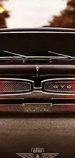 Classic GTO with glowing headlights on a dark road wallpaper.