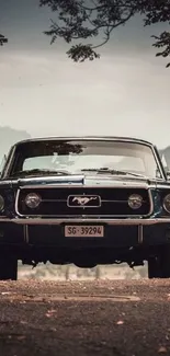 Front view of a vintage Mustang car with scenic background.