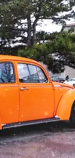 Vintage orange car parked under snowy pine trees.