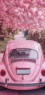 Vintage pink car under cherry blossoms on a scenic road.