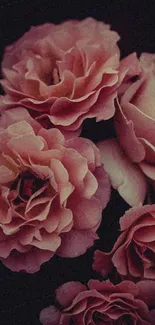 Vintage pink roses on dark background mobile wallpaper.