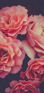 Vintage pink roses with a romantic aesthetic for mobile wallpaper.