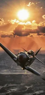 Vintage airplane soaring through sunset clouds.