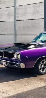 Vintage purple muscle car parked outdoors.