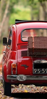 Vintage red car on autumn leaf-covered road.