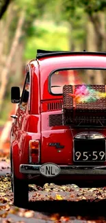 Vintage red car driving through autumn forest with fallen leaves.