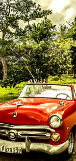 Vintage red car on a countryside road with lush green trees.