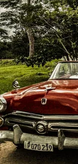 Vintage red car amidst lush greenery under a cloudy sky.