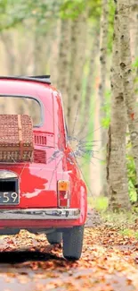 Vintage red car with wicker basket on autumn forest road.