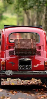 Vintage red car driving down a scenic forest road with autumn leaves.