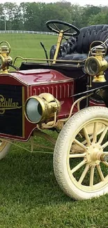 Vintage red car with brass details on a green field.