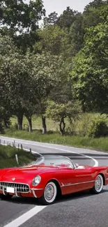 Vintage red convertible on a scenic road with lush greenery.