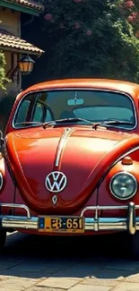 Vintage red car parked on a sunny day.