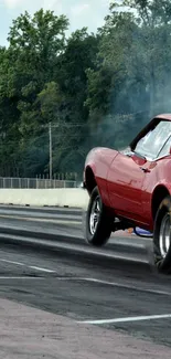 Vintage red car racing on speed track with green trees in the background.