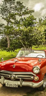 A vintage red convertible car on a countryside road surrounded by lush greenery.