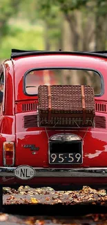 Vintage red car on a leafy road, perfect for classic car lovers.