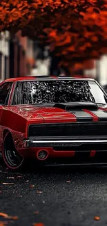 Vintage red car parked on autumn street with fallen leaves.
