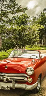 Vintage red convertible car on a scenic road with lush greenery around.