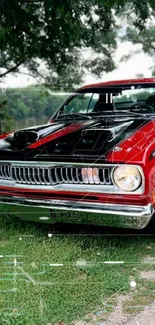 Vintage red muscle car on green grass with trees in the background.