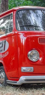 Vintage red van parked outdoors, showcasing classic design.