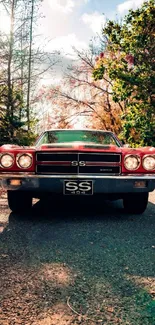 Vintage car on forest road with autumn colors.