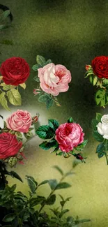 Vintage floral wallpaper with colorful roses on a green background.