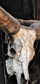 Vintage skull and horns on rustic wood background.