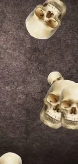 Vintage skull pattern with a textured background.