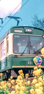 Vintage train amidst vibrant yellow flowers.