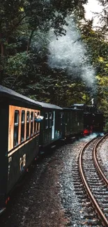 A vintage steam train passes through a dense forest on a curved track.